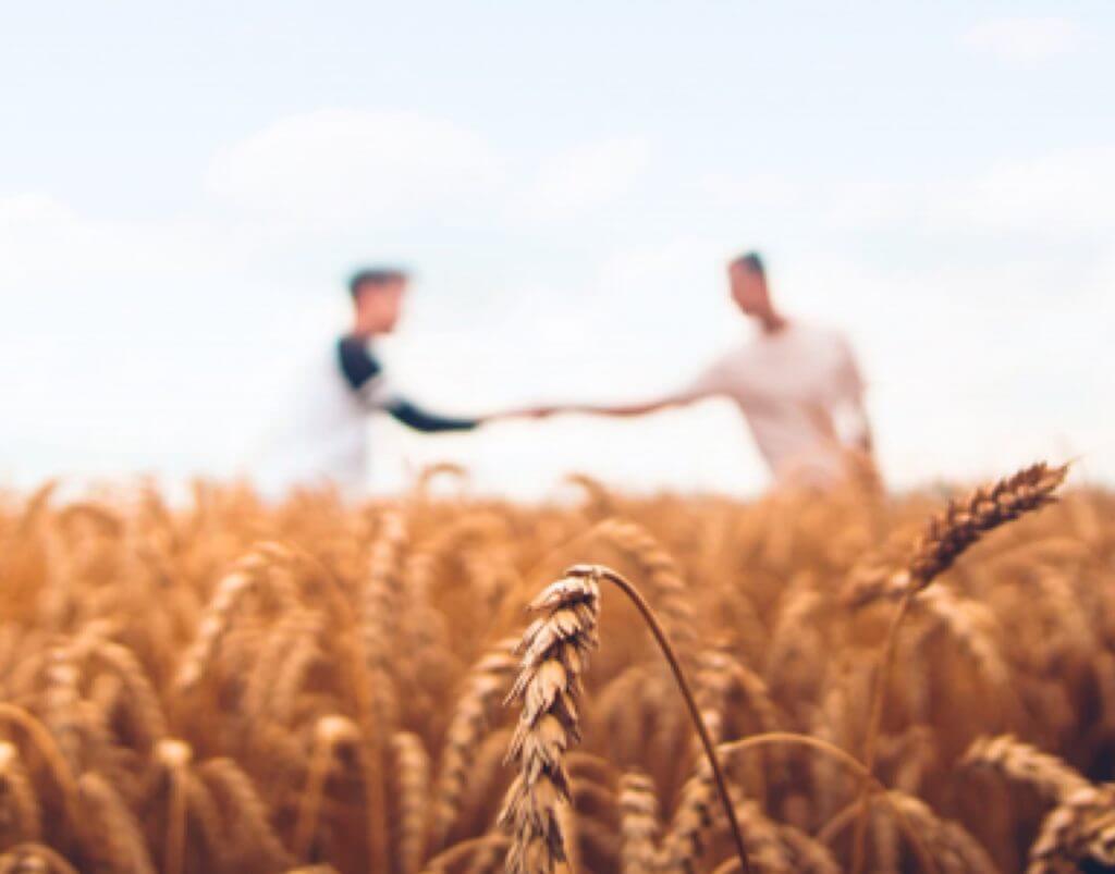 Griffith Foods works together with customers, suppliers, and expert partners to contribute to a better world.