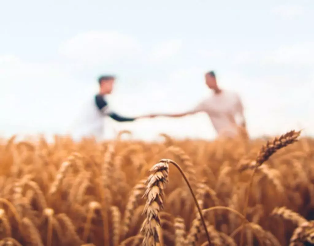 Griffith Foods works together with customers, suppliers, and expert partners to contribute to a better world.