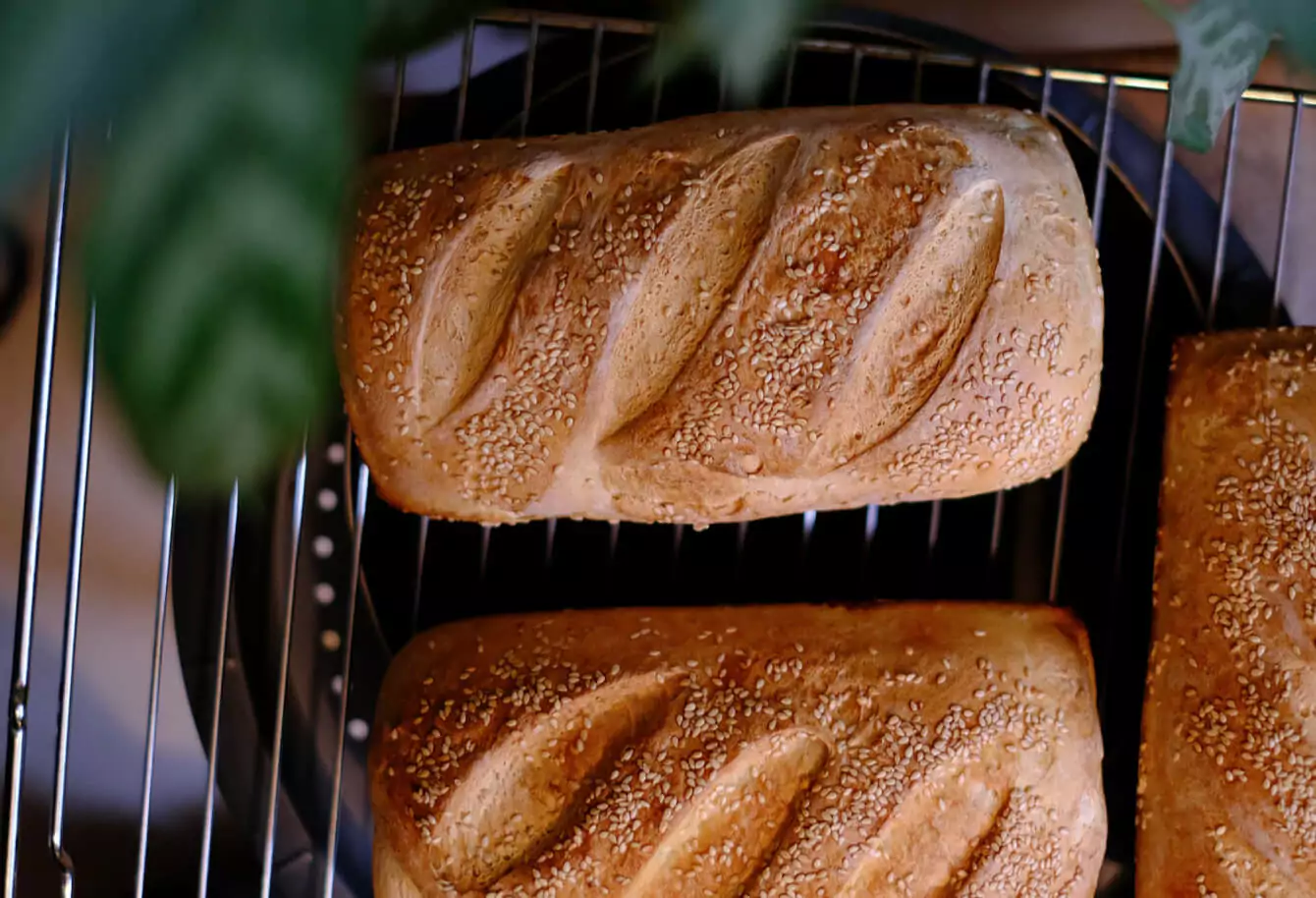 Loaves for bread