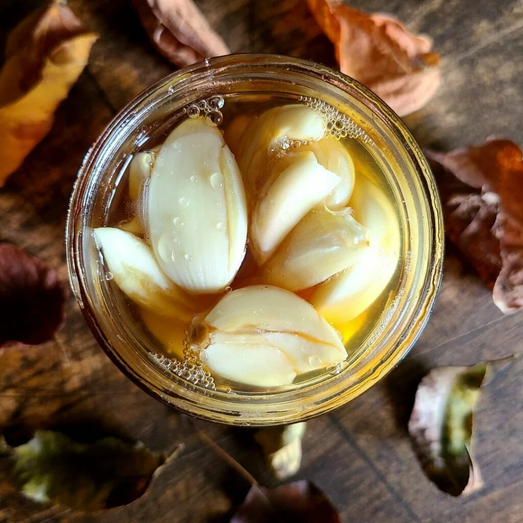 Homemade fermented garlic honey