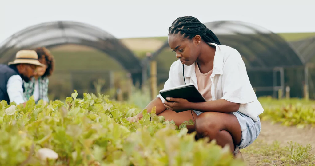 Woman with a tablet squatting to inspect lettuce