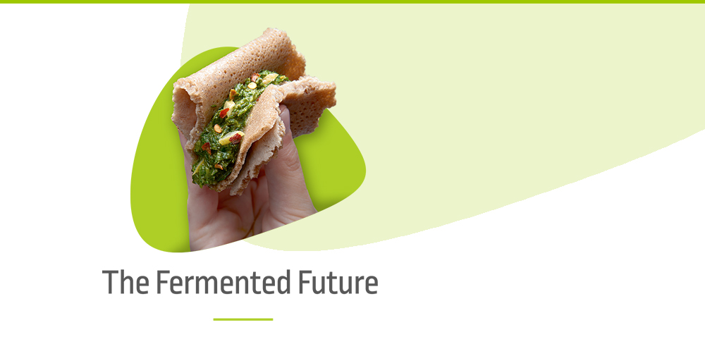 The Fermented Future